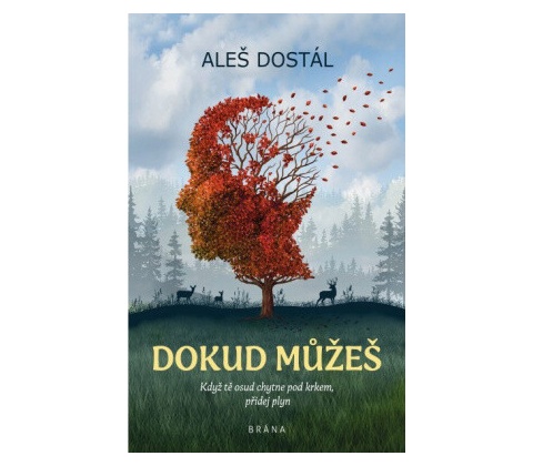 Dokud můžeš