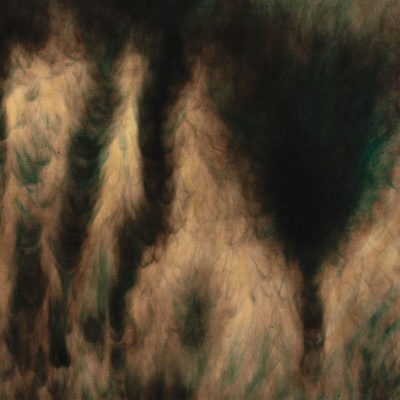 William Basinski - Lamentations (2 LP) (0656605334318)