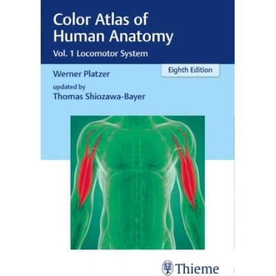 Color Atlas of Human Anatomy