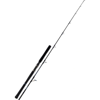 Aquantic Uptide jig 2.05 m 60-220 g 1+1 díl
