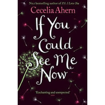 If You Could See Me Now - C. Ahern