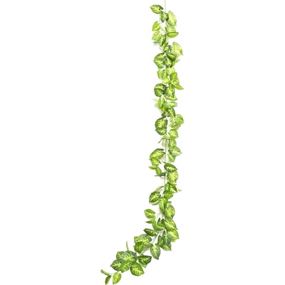 Girlanda alokázia zelená 230cm