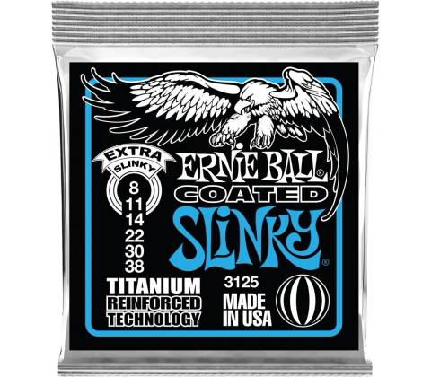 Ernie Ball 3125