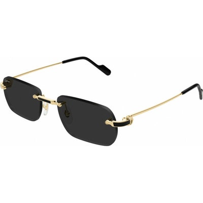 Cartier CT0498S 001