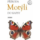 Motýli