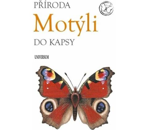 Motýli