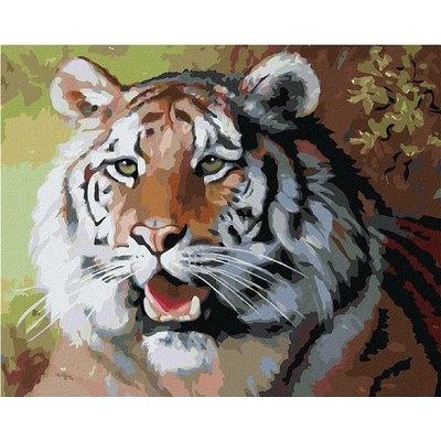 zuty Malování Podle Čísel Tygr S Otevřenou Tlamou Portrét D. Rusty Rust 40 x 50 Cm Plátno Rám