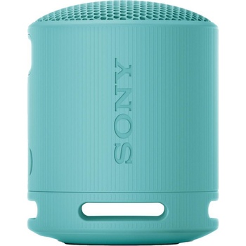 SRS XB100