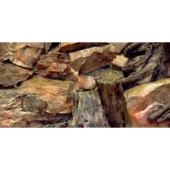 Diversa 3D pozadie Koreň 60 x 30 cm