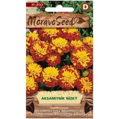 Moravoseed Aksamitník nízký plnokvětý žlutý/hnědý 30 ks