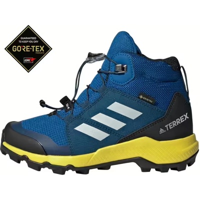 Adidas Terrex Mid Gore-Tex Blue
