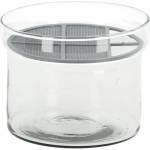 Esschert Design Стъклена купичка за покълване за билки ø 12 cm - Esschert Design (ZEE-C2135)