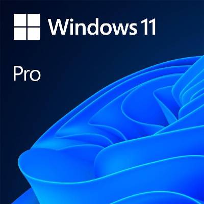 Microsoft Windows 11 Professional 64Bit English Intl 1pk DSP (FQC-10528)