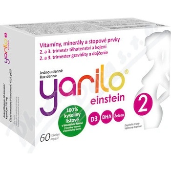 Yarilo Einstein 2 60 tobolek