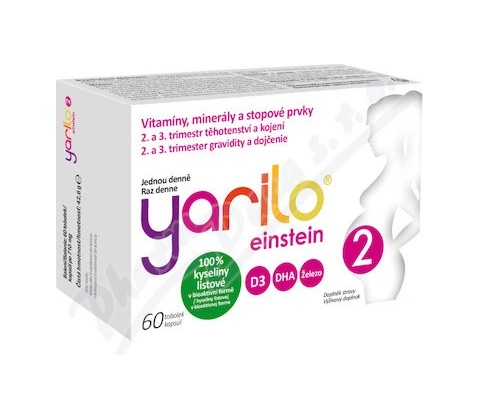 Yarilo Einstein 2 60 tobolek