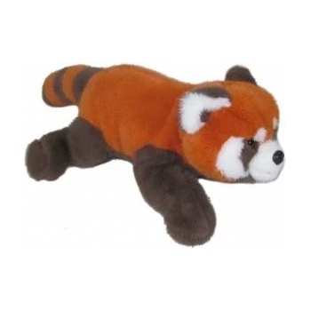 SUN-DAY Red panda lying down