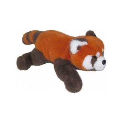 SUN-DAY Red panda lying down