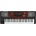 KORG Pa700