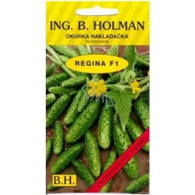 HOLMAN Okurka nakladačka hruboostná Regina F1 2,5 g