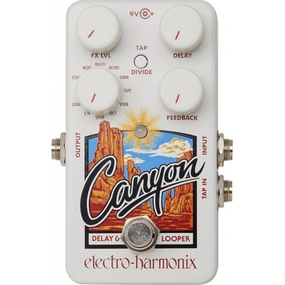 Electro Harmonix Canyon Delay & Looper