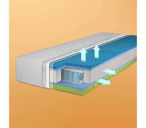 LINDART Spring Visco