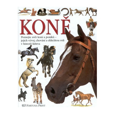 Koně vidět