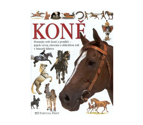 Koně vidět
