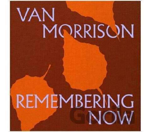 MORRISON, VAN - REMEMBERING NOW 2 LP