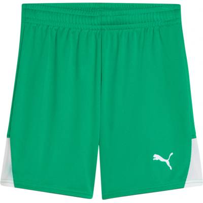 Puma teamLIGA26 Kids zelená