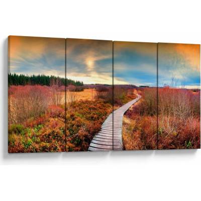 Obraz - Podzimní cesta krajinou, Čtyřdílný 160x80 cm – Hledejceny.cz