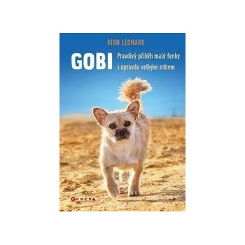 Gobi - Dion Leonard