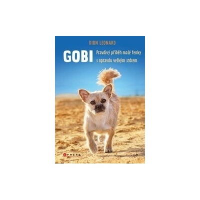 Gobi - Dion Leonard