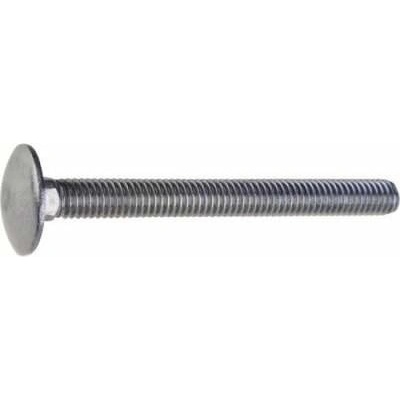 SKRUTKA VRÁTOVÁ, plochá široká polguľatá hlava, zinok biely 8,0x120 mm