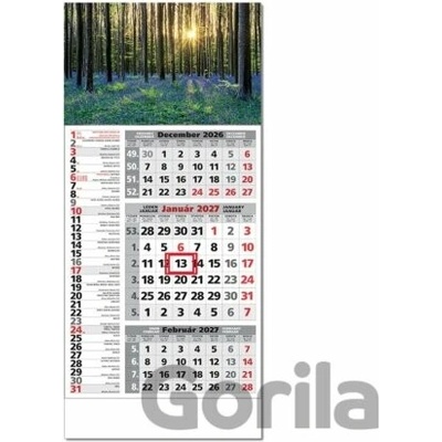 Štandard 3-mesačný kombinovaný nástenný rozkvitnutý les Spektrum grafik 2027