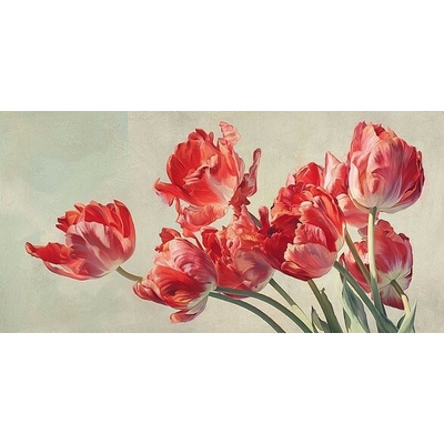 Obraz-červených tulipánů 1 deska 100x50