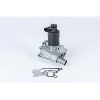 AGR - Ventil BorgWarner (Wahler) 710955R
