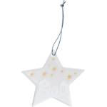 Raeder Коледна висулка Ice Star Град: 8, 5 см (C92221)