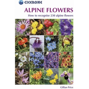 Alpine Flowers | Price Price (2014)