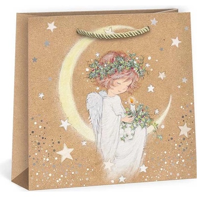 ARGUS Darčeková papierová taška (18 x 18 cm) Anjel 08250008