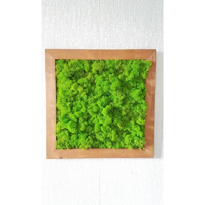 Mechový obraz v dřevěném rámu 50cm x 50cm