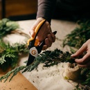 Image 1 of Fiskars Solid P341 1057164