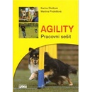 Agility - pracovní sešit