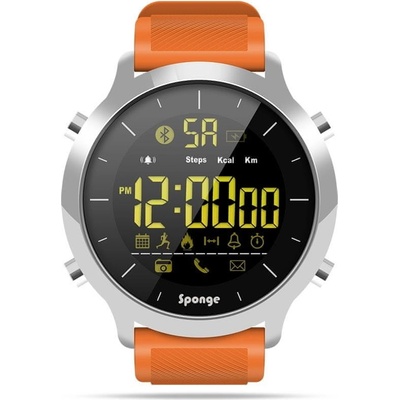 Sponge Surfwatch