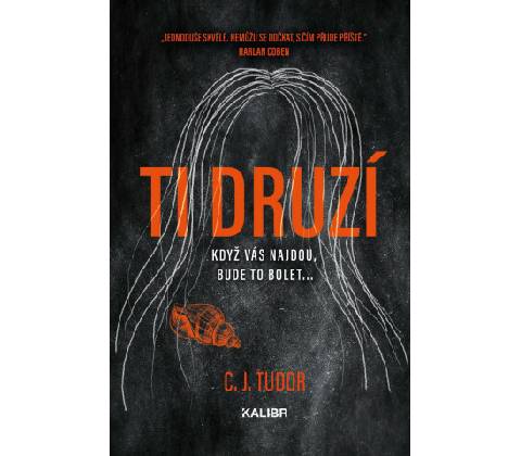 Ti druzí