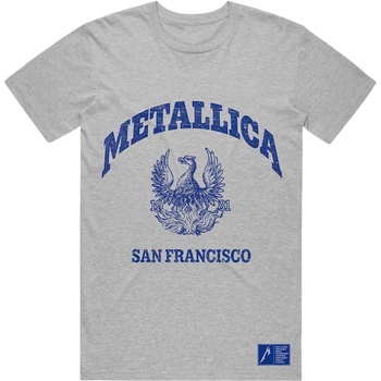 Metallica College Crest Grey L Риза (METTS44MG03)