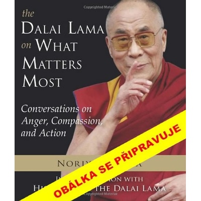 Co je nejdůležitější. Rozhovory o hněvu - Dalajlama Jeho Svatost, Ueda Noriyuki
