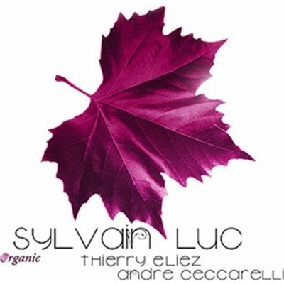 LUC SYLVAIN: ORGANIC/FEAT. THIERRY CD