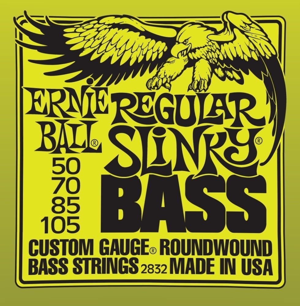 Ernie Ball 2832