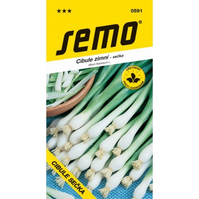 Semo Cibuľa zimná - Gerda zimné, celoročne pre vňať 2g