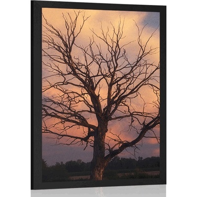 Plakát nádherný strom na louce - 20x30 white